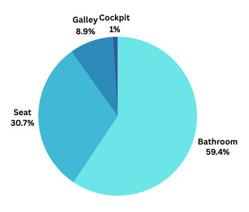 where do people have sex on a plane